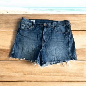GAP Women's Blue Denim High Rise 4" Shorts Size 33 / 16